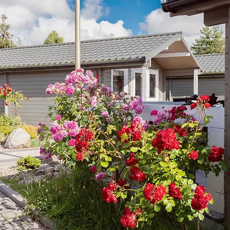 Деревянный коттедж - Letniskowe I Хлопы