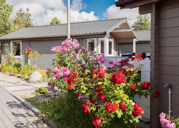 Lodge - Letniskowe I Chłopy